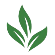 Warren Tea Share Price