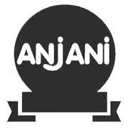 Anjani Synthetics Share Price