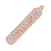 Bombay Oxygen Investments Share Price