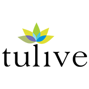 Tulive Developers Share Price