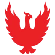 Phoenix Mills Share Price