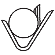 Vikalp Securities Share Price