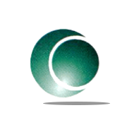 Sunil Healthcare Share Price