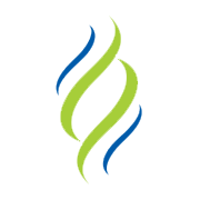 Captain Technocast Share Price