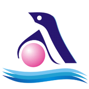 Accuracy Shipping Share Price