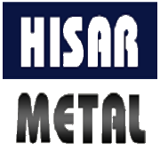 Hisar Metal Industries Share Price