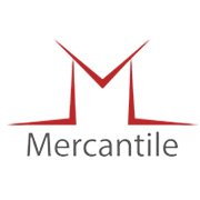 Mercantile Ventures Share Price