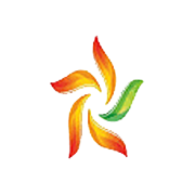 Ravindra Energy Share Price