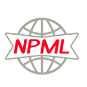 Neeraj Paper Marketing Share Price