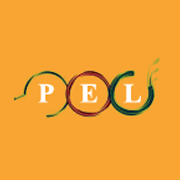 Pagaria Energy Share Price