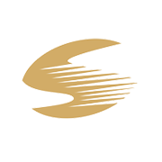 Signet Industries Share Price