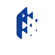 Fine Organic Industries Share Price