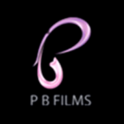 P. B. Films Share Price