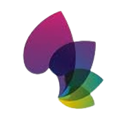 Bella Casa Fashion & Retail  Share Price