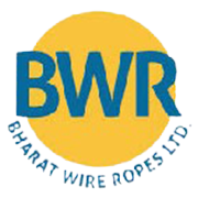 Bharat Wire Ropes Share Price