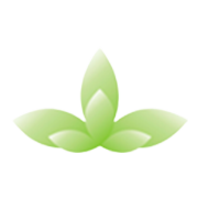 Mizzen Ventures Share Price