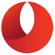 Bandhan Bank Share Price