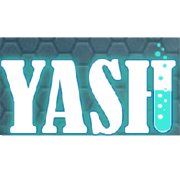 Yash Chemex Share Price