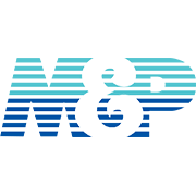 Muller & Phipps (India) Share Price