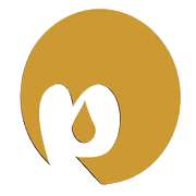 Manorama Industries Share Price