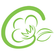 Gujarat Hy-Spin Share Price