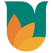 Ujjivan Small Finance Bank Share Price