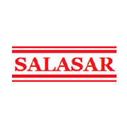 Salasar Techno Engineering Share Price