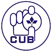 City Union Bank Share Price