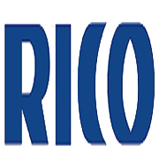 Rico Auto Industries Share Price