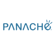 Panache Digilife Share Price