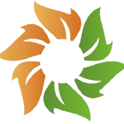 Solara Active Pharma Sciences Share Price