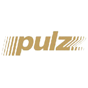 Pulz Electronics Share Price