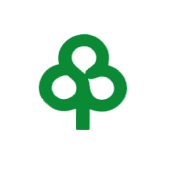 Duroply Industries Share Price