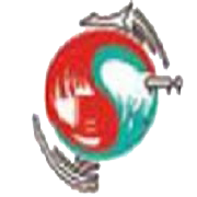 Total Transport Systems Share Price