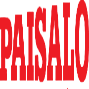 Paisalo Digital Share Price
