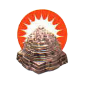 GACM Technologies -DVR Share Price