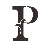 Priti International Share Price