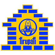 Tirupati Sarjan Share Price