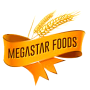 Megastar Foods Share Price