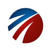 PB Global Share Price