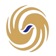 Lagnam Spintex Share Price