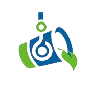 Synergy Green Industries Share Price