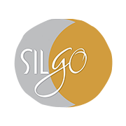 Silgo Retail Share Price