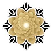 Sky Gold & Diamonds Share Price