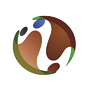 CCL International Share Price