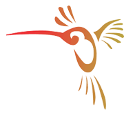 Humming Bird Education Share Price