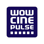 City Pulse Multiventures Share Price