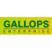 Gallops Enterprise Share Price