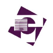 Cybertech Systems & Software Share Price