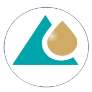 Nirmitee Robotics India Share Price